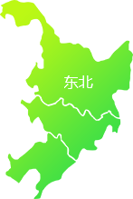 北美市场